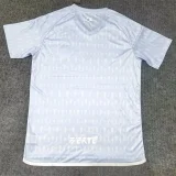 24-25 Algeria Grey Special Edition Fans Training shirts