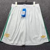 25-26 Roma Third Shorts Pants
