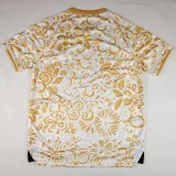 25-26 Palestina FC Yellow White Training shirts (阿拉伯文)