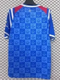 25-26 Hansa Rostock Home Fans Soccer Jersey