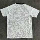25-26 Benfica Special Edition White Training shirts