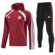 25-26 Bayern Jujube red Hoodie Jacket Tracksuit