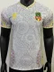 25-26 Mali White Player Version Soccer Jersey