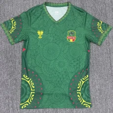 25-26 Mali Green Fans Soccer Jersey