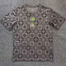 25-26 Bayern Grey Special Edition Training shirts