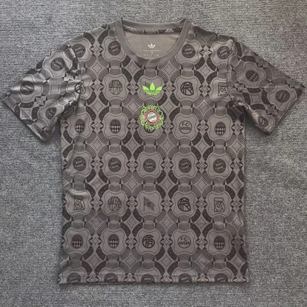 25-26 Bayern Grey Special Edition Training shirts