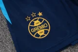 25-26 Gremio Lake blue Training Short Suit #D25173