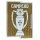 CAMPEAO(葡超胸前冠军)