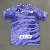 25-26 Tigres UANL Purple Training shirts