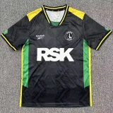 25-26 Charlton Athletic Third Fans Soccer Jersey