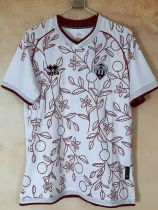 25-26 CD Castellon Away Fans Soccer Jersey