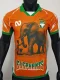 25-26 Ivory Coast Orange Special Edition Player Version Soccer Jersey