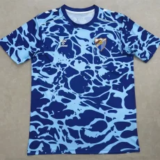 25-26 Malaga Blue Training shirts