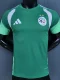 26-27 Algeria Green Player Version Training shirts