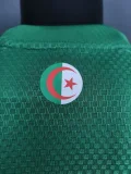 26-27 Algeria Green Player Version Training shirts