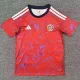 2026-27 Costa Rica Home Fans Soccer Jersey