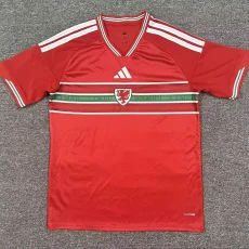 2026-27 Wales Home Fans Soccer Jersey
