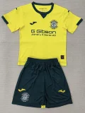 2025-26 Hibernian FC Away Kids Soccer Jersey