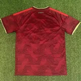2026-27 Venezuela Home Fans Soccer Jersey