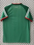 2026-27 Algeria Away Fans Soccer Jersey