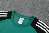 2025-26 LIV Green Training Short Suit