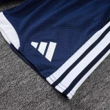 2025-26 AD Royal blue Player Version Training Short Suit (球员短套装)#D2506