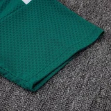 2025-26 AD Green Player Version Training Short Suit (球员短套装)#D2506