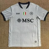 2025-26 Napoli Grey Goalkeeper Soccer Jersey (灰色)
