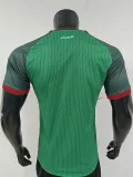 26-27 Algeria Away Player Version Soccer Jersey (无星)