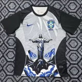 2025-26 Brazil Blue Grey Special Edition Training shirts (女神)