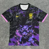 2025-26 Brazil Purple Special Edition Training shirts (猎豹)