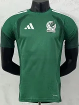 26-27 Mexico Green Player Version Training shirts