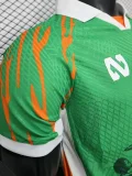 2025-26 Ivory Coast Green Special Edition Player Version Soccer Jersey