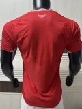 2026-27 Wales Home Player Version Soccer Jersey