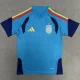 26-27 Spain Blue Training shirts