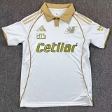 25-26 Pisa SC Third Fans Soccer Jersey