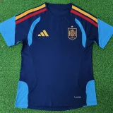 26-27 Spain Royal blue Player Version Training shirts