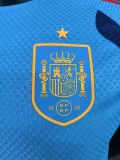 26-27 Spain Lake Blue Player Version Training shirts