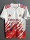 25-26 Benfica Red White Special Edition Training shirts (火焰版)