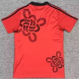 25-26 Man Utd Red Special Edition Training shirts (春节版)