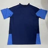 26-27 Cruzeiro Royal blue Training shirts (宝蓝色)