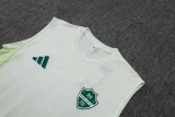 25-26 Al-Ahli Saudi Light green Tank top and shorts suit #D25262
