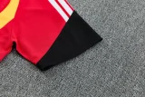 26-27 Germany Red Training Short Suit