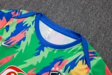 25-26 Brazil Green Training Short Suit #D25267