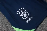 25-26 Brazil Green Training Short Suit #D25267