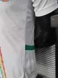24-25 Senegal Home Player Version Soccer Jersey (Stars 2 星)