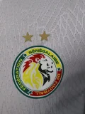 24-25 Senegal Home Player Version Soccer Jersey (Stars 2 星)