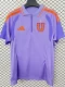 26-27 Universidad De Chile Purple Polo Short Sleeve (有领)