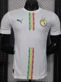 24-25 Senegal Home Player Version Soccer Jersey (Stars 2 星)