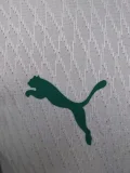 24-25 Senegal Home Player Version Soccer Jersey (Stars 2 星)
